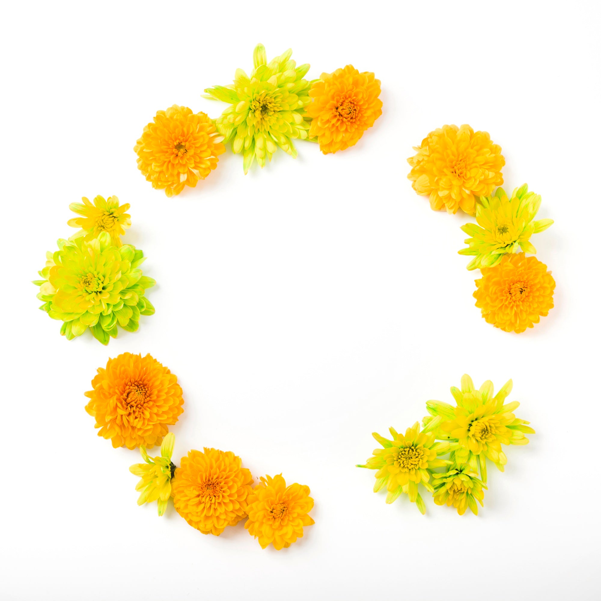 Marigold petals