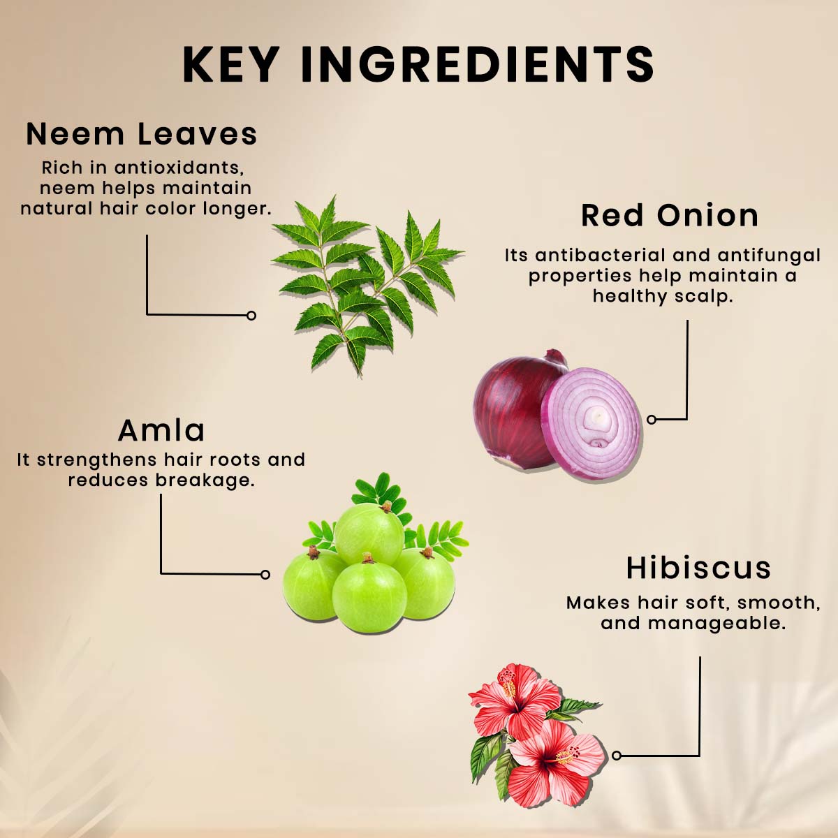 Onion Hair Oil - 200ml
